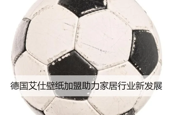 德国艾仕壁纸加盟助力家居行业新发展